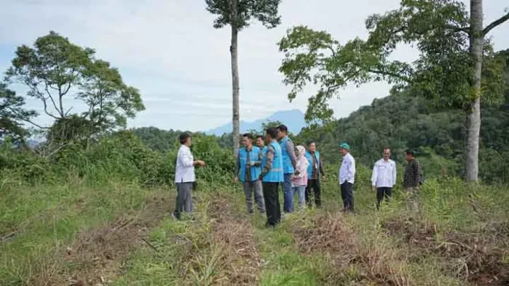 PLN UIP Sumbagteng Dorong Modernisasi Pertanian, Petani Cabai Agam Dapat Bantuan Berbasis Listrik