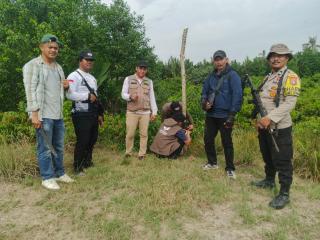 Harimau Kembali Terlihat di Inhil, BBKSDA Pasang Kamera Trap di Dusun Bukit