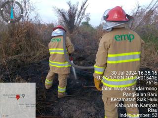 EMP Bentu Limited Turunkan Tim Fire Fighting untuk Padamkan Api di Siak Hulu